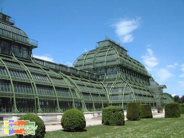 棕櫚屋 Palm House