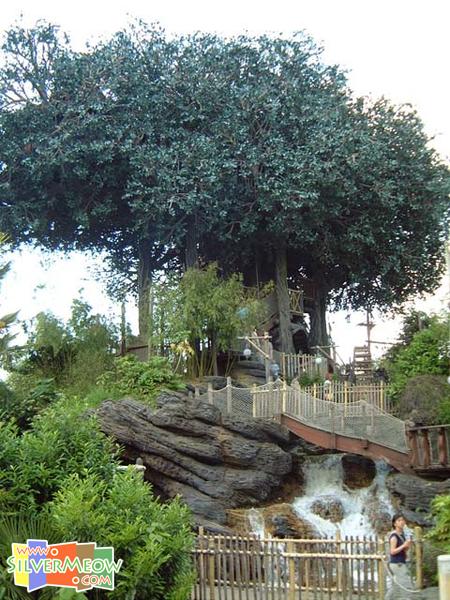 探險樂園 Adventureland - 魯賓遜之家 La Cabane des Robinson