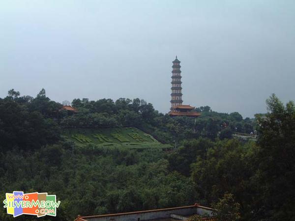 於观音阁远望莲花塔