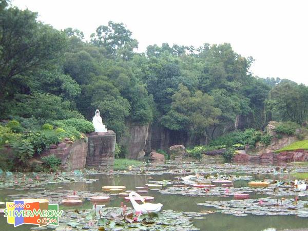 小蓮花池