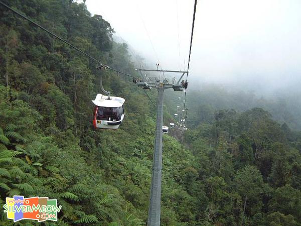 纜車內眺望
