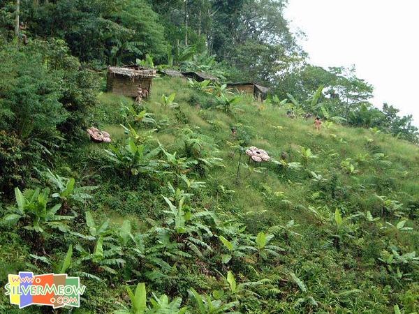 纜車內眺望 - 遠處為土人雕像