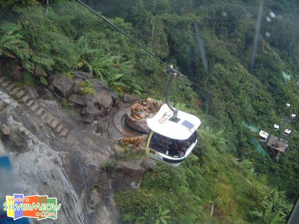 纜車內眺望 - 遠處為老虎雕像