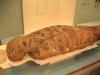 馆内展出埃及木乃伊 Egyptian Mummies