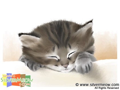 手绘作品 - 睡着的小猫